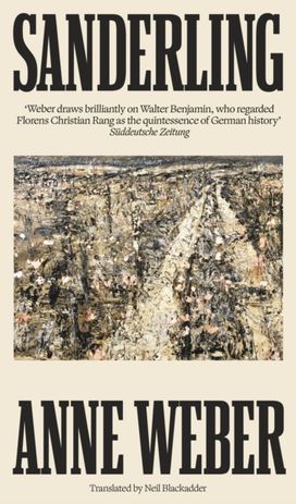 Sanderling Sanderling