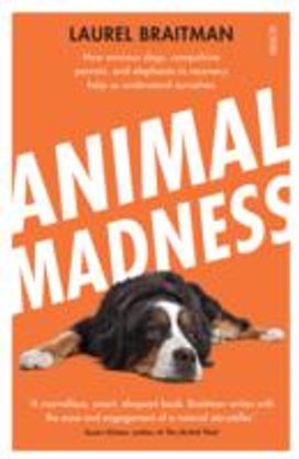 Animal Madness Animal Madness