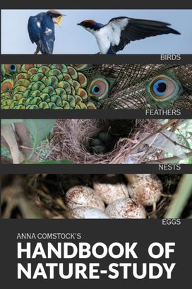 Handbook of Nature Study in Color - Birds Handbook of Nature Study in Color - Birds