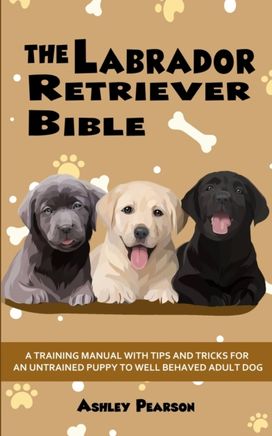 Labrador Retriever Bible - a Training Manual with Tips and Tricks for an Untrained Puppy to Well Behaved Adult Dog