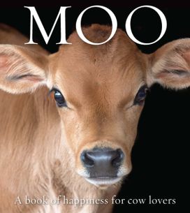 Moo Moo