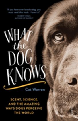 What the Dog Knows