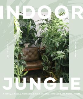 Leaf Supply Guide to Creating Your Indoor Jungle