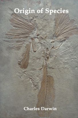 Origin of Species and the Foundations of the Origin of Species