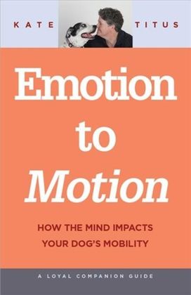 Emotion to Motion Emotion to Motion