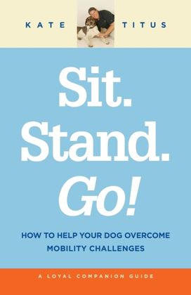 Sit. Stand. Go! Sit. Stand. Go!