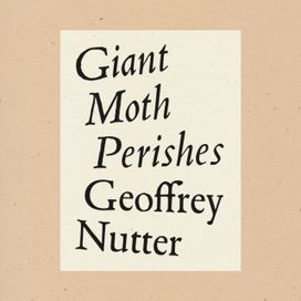 Giant Moth Perishes Giant Moth Perishes