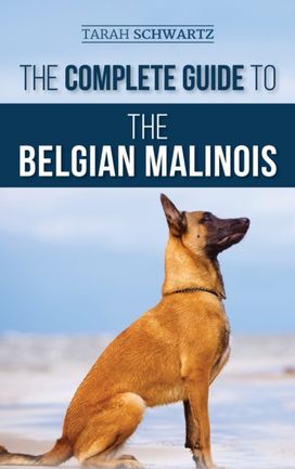 Complete Guide to the Belgian Malinois Complete Guide to the Belgian Malinois