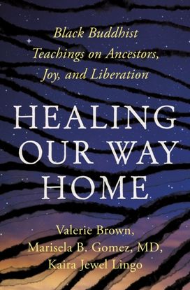 Healing Our Way Home Healing Our Way Home