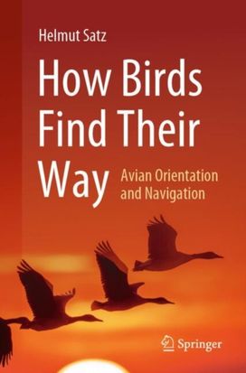 How Birds Find Their Way How Birds Find Their Way