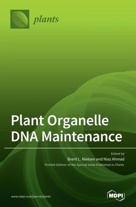 Plant Organelle Dna Maintenance
