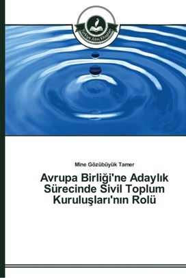 Avrupa Birliği'ne Adaylık Surecinde Sivil Toplum Kuruluşları'nın Rolu