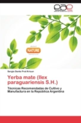 Yerba Mate (Ilex Paraguariensis s.h.) Yerba Mate (Ilex Paraguariensis s.h.)