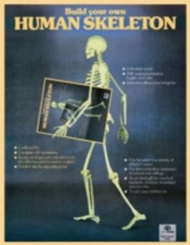 Build Your Own Human Skeleton Build Your Own Human Skeleton