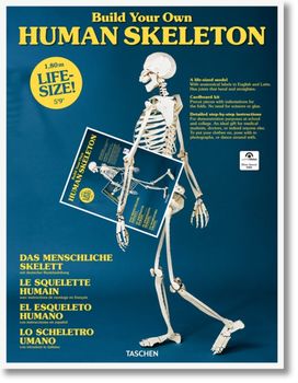 Build Your Own Human Skeleton Build Your Own Human Skeleton