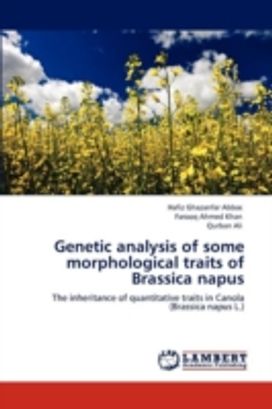 Genetic Analysis of some Morphological Traits of Brassica Napus