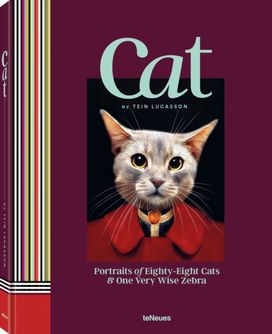 Cat Cat
