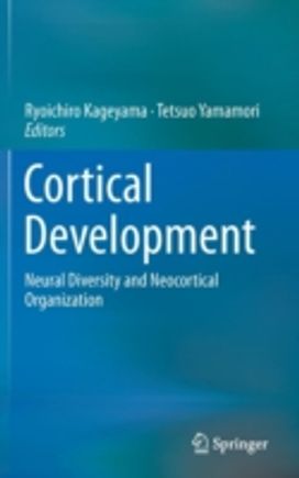 Cortical Development Cortical Development