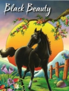 Black Beauty Black Beauty