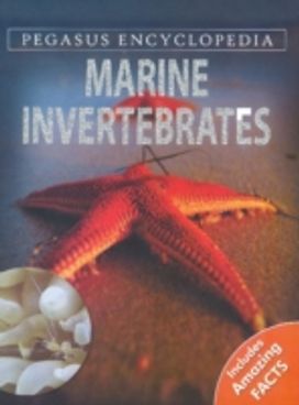 Marine Invertebrates Marine Invertebrates