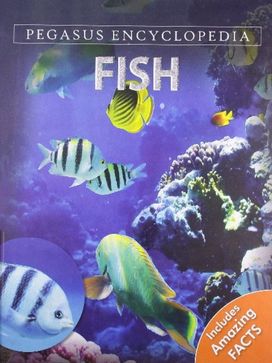 Fish Fish