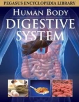 Digestive System Digestive System
