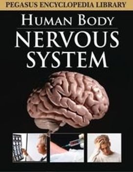 Nervous System Nervous System