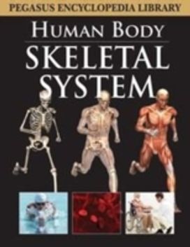 Skeletal System Skeletal System