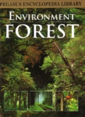 Forest Forest