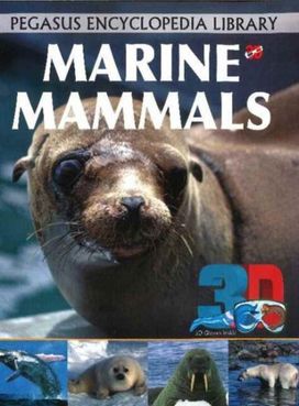 3D - Marine Mammals