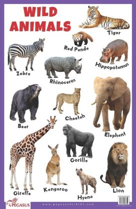 Wild Animals Educational Chart Wild Animals Educational Chart