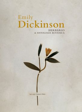 HERBARIO Y ANTOLOGIA BOTANICA HERBARIO Y ANTOLOGIA BOTANICA