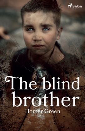 Blind Brother Blind Brother