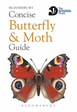 Conc Butterfly Moth Gd Co Ed Neth