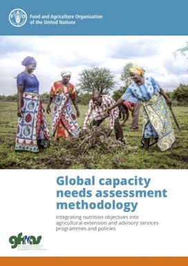 Global Capacity Needs Assessment Methodology Global Capacity Needs Assessment Methodology