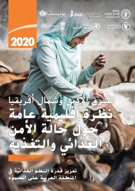 Near East and North Africa – Regional Overview of Food Security and Nutrition 2020 (Arabic Edition) Near East and North Africa – Regional Overview of Food Security and Nutrition 2020 (Arabic Edition)
