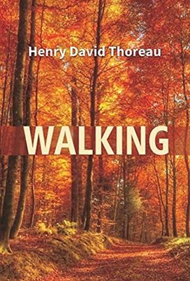 Walking Walking