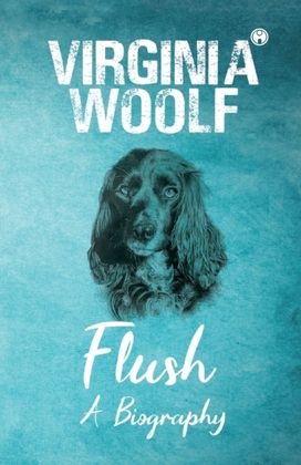 Flush Flush
