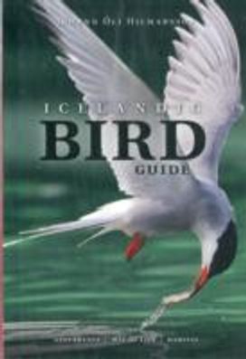 Icelandic Bird Guide: Appearance, Way of Life, Habitat Icelandic Bird Guide: Appearance, Way of Life, Habitat