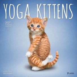 Yoga Kittens OFFICIAL | 2027 12 x 24 Inch (Hanging) Monthly Square Wall Calendar | Plato | Animals Humor Cats Feline