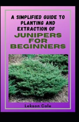 A Simplified Guide to Planting and Extraction of Junipers for Beginners
