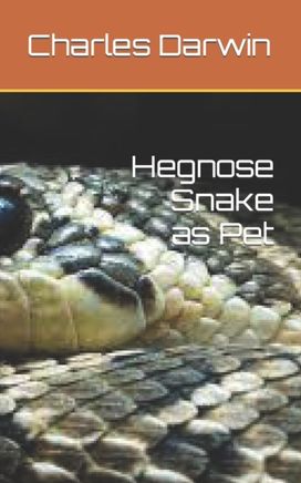 Hegnose Snake as Pet Hegnose Snake as Pet