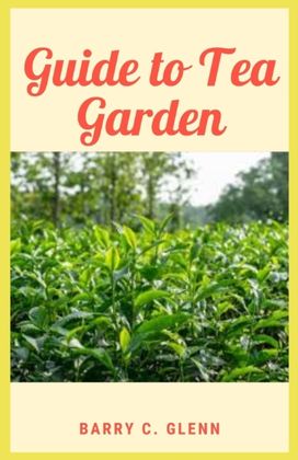 Guide to Tea Garden