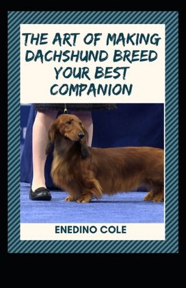 The Art of Making Dachshund Breed Your Best Companion The Art of Making Dachshund Breed Your Best Companion