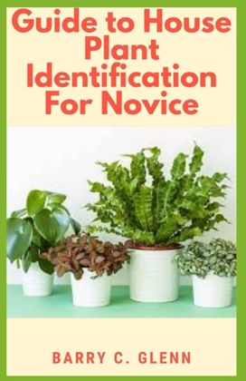Guide to House Plants Identification for Novice Guide to House Plants Identification for Novice
