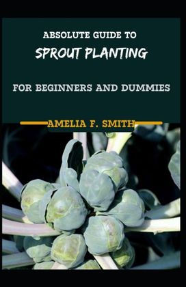 Absolute Guide to Sprout Planting for Beginners and Dummies