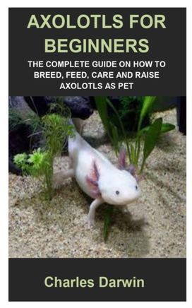 Axolotls for Beginners