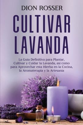 Cultivar Lavanda