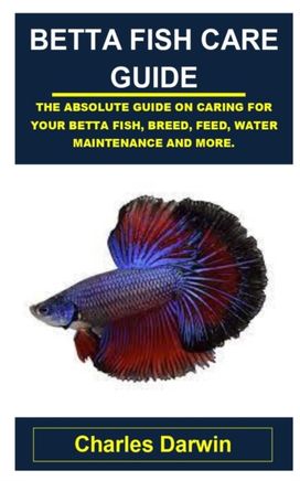 Betta Fish Care Guide