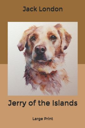 Jerry of the Islands